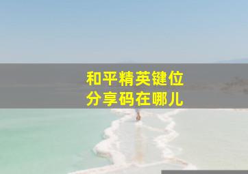 和平精英键位分享码在哪儿