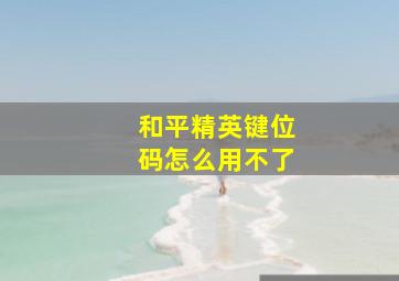 和平精英键位码怎么用不了