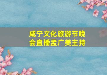 咸宁文化旅游节晚会直播孟广美主持