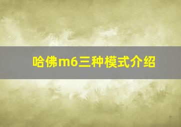 哈佛m6三种模式介绍