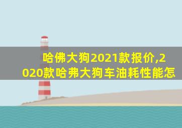 哈佛大狗2021款报价,2020款哈弗大狗车油耗性能怎