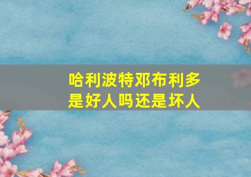 哈利波特邓布利多是好人吗还是坏人