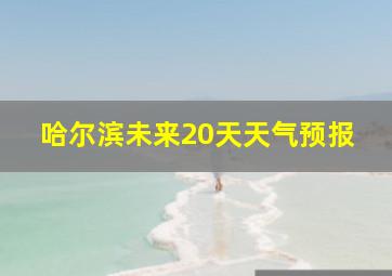 哈尔滨未来20天天气预报