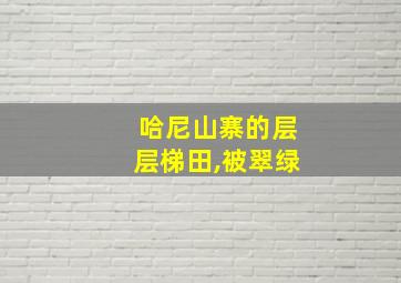 哈尼山寨的层层梯田,被翠绿