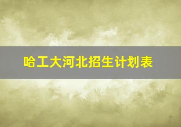 哈工大河北招生计划表