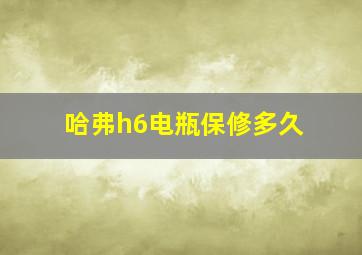 哈弗h6电瓶保修多久