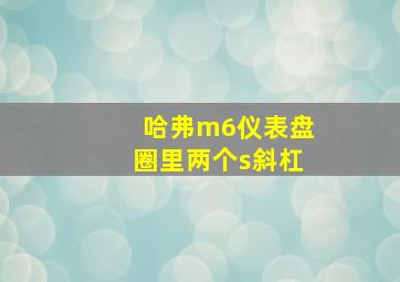 哈弗m6仪表盘圈里两个s斜杠