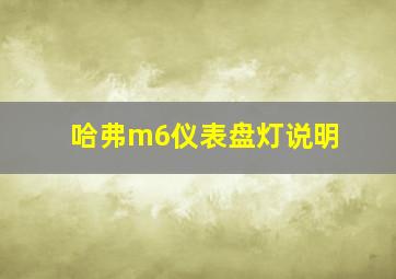 哈弗m6仪表盘灯说明