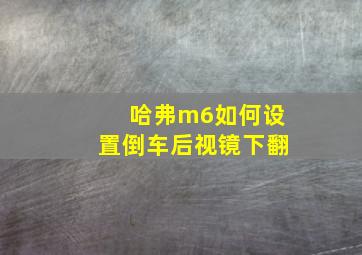 哈弗m6如何设置倒车后视镜下翻