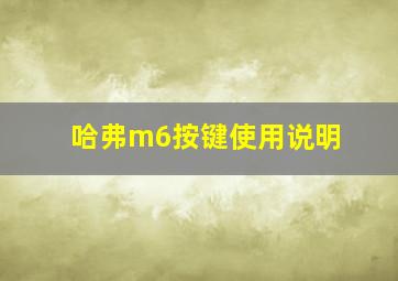 哈弗m6按键使用说明