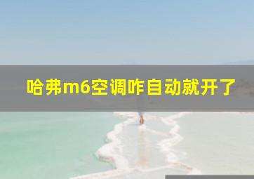 哈弗m6空调咋自动就开了