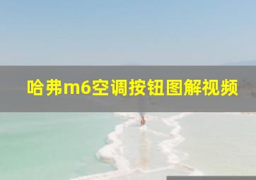 哈弗m6空调按钮图解视频