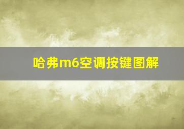 哈弗m6空调按键图解