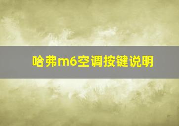 哈弗m6空调按键说明