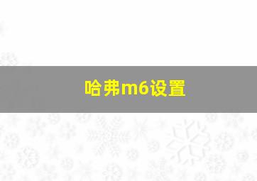 哈弗m6设置