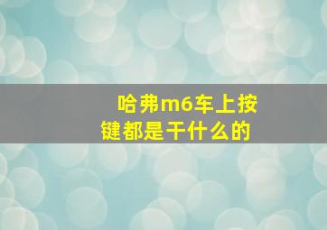 哈弗m6车上按键都是干什么的