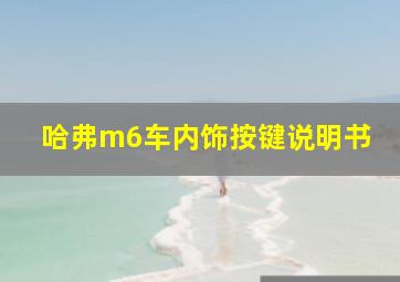 哈弗m6车内饰按键说明书