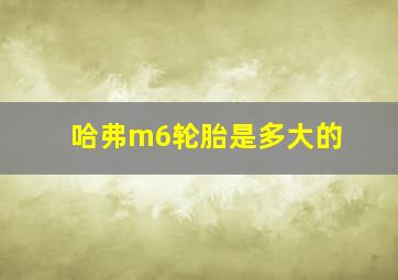 哈弗m6轮胎是多大的