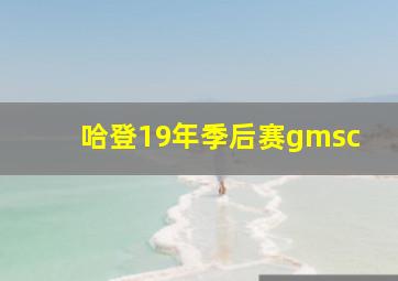 哈登19年季后赛gmsc