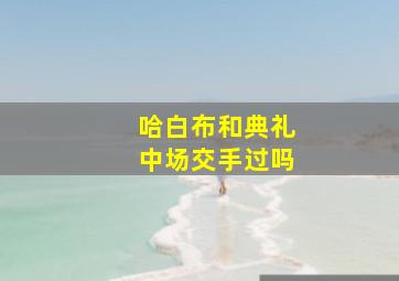 哈白布和典礼中场交手过吗