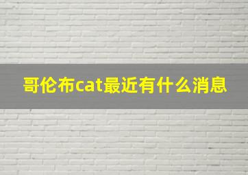 哥伦布cat最近有什么消息