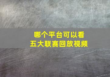 哪个平台可以看五大联赛回放视频