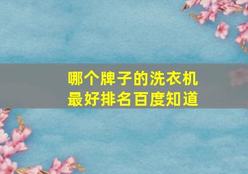 哪个牌子的洗衣机最好排名百度知道