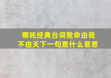 哪吒经典台词我命由我不由天下一句是什么意思