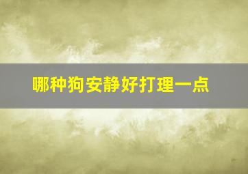 哪种狗安静好打理一点