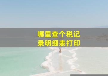 哪里查个税记录明细表打印