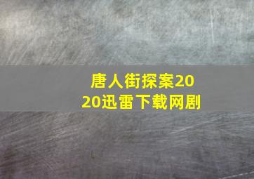 唐人街探案2020迅雷下载网剧