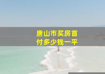 唐山市买房首付多少钱一平