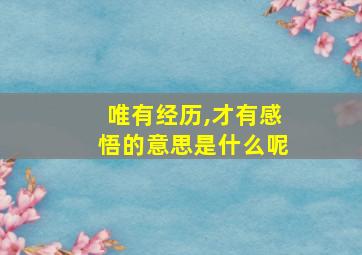 唯有经历,才有感悟的意思是什么呢