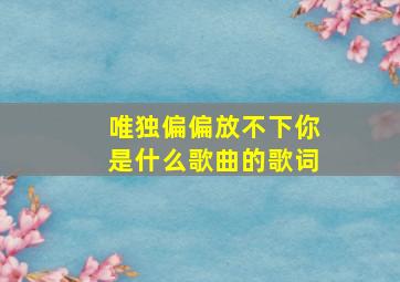 唯独偏偏放不下你是什么歌曲的歌词