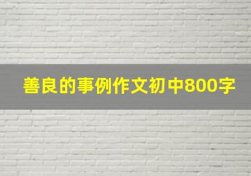 善良的事例作文初中800字