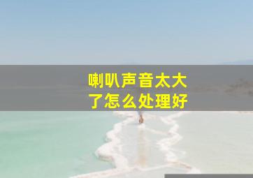 喇叭声音太大了怎么处理好