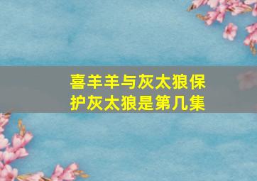 喜羊羊与灰太狼保护灰太狼是第几集