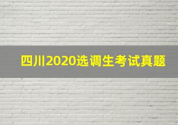 四川2020选调生考试真题