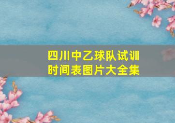 四川中乙球队试训时间表图片大全集