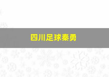 四川足球秦勇