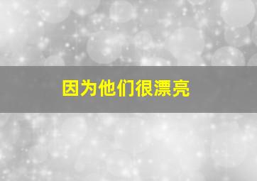 因为他们很漂亮