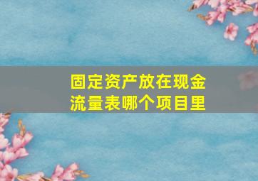 固定资产放在现金流量表哪个项目里