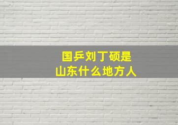 国乒刘丁硕是山东什么地方人