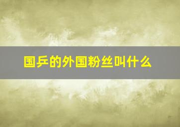 国乒的外国粉丝叫什么