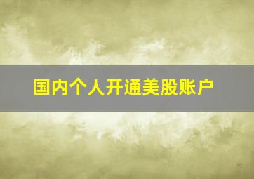 国内个人开通美股账户