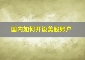 国内如何开设美股账户