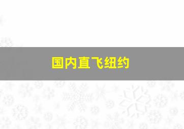 国内直飞纽约