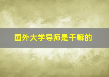 国外大学导师是干嘛的