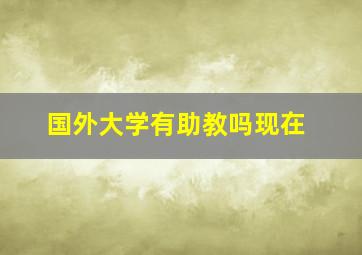 国外大学有助教吗现在