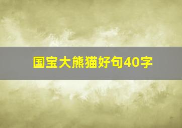 国宝大熊猫好句40字